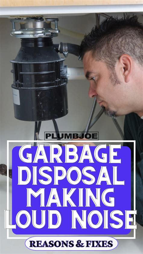 Garbage Disposal Noise - Nettally - balustradellc