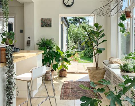 Garden and House Plants - The Tortoise Table - muktibox.com