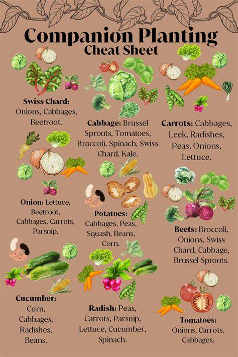 Garden Companion Planting - Treeier - raincitystudios.com