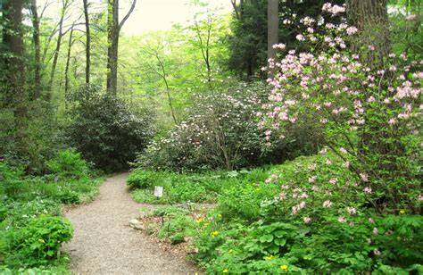Garden in the Woods - Native Plant Trust - raincitystudios.com