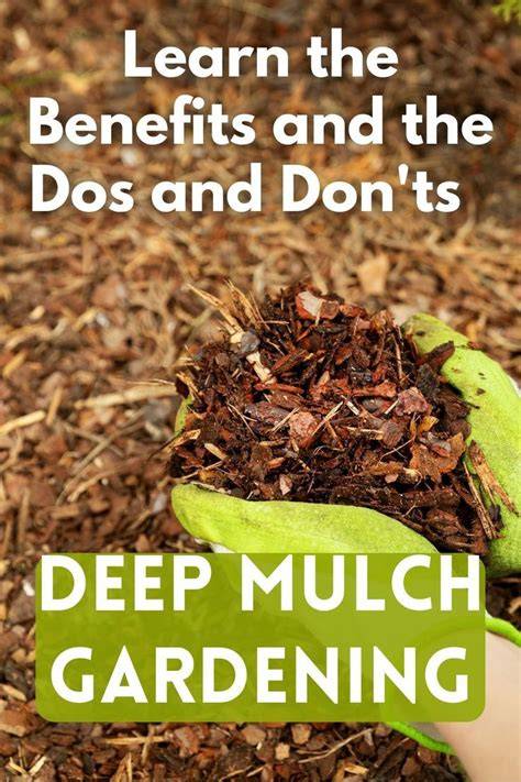 Garden Mulch: Dos and Don'ts for Beginners - Bob Vila - raincitystudios.com