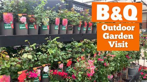 Garden Q&A – Planting on Steep Slopes - California … - raincitystudios.com
