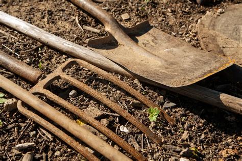 Garden Tool Maintenance: What Type of Oil to Use for … - balustradellc