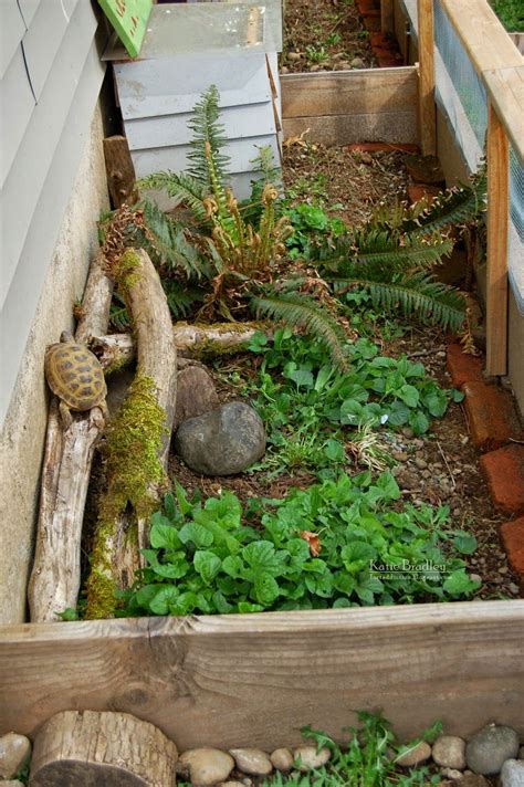 Garden Tortoise & Turtle Statues for sale | eBay UK - muktibox.com