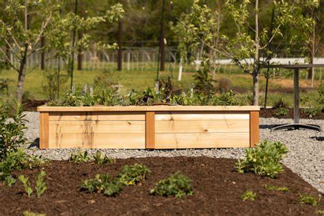 Gardenary's Wood Raised Bed Kits - raincitystudios.com