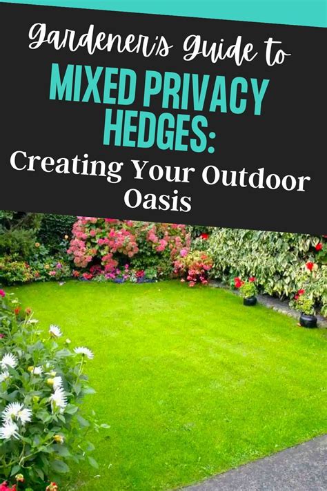 Gardener’s Guide to Mixed Privacy Hedges ... - Garden … - balustradellc