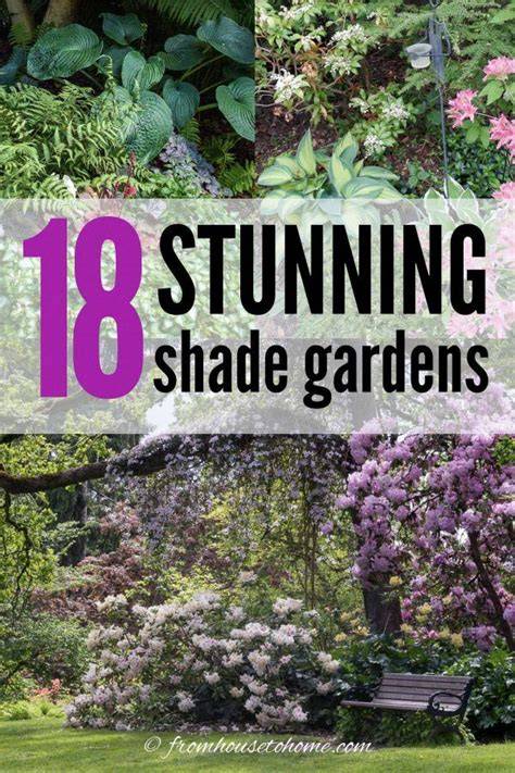 Gardening in the shade | UMN Extension - raincitystudios.com
