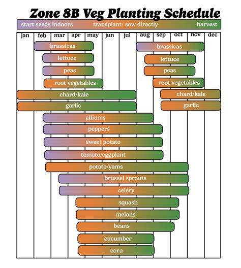 Gardening in Zones 8a and 8b | Can I plant zinnias on top of cardboard ... - raincitystudios.com