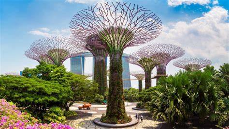 Gardens by the Bay - raincitystudios.com
