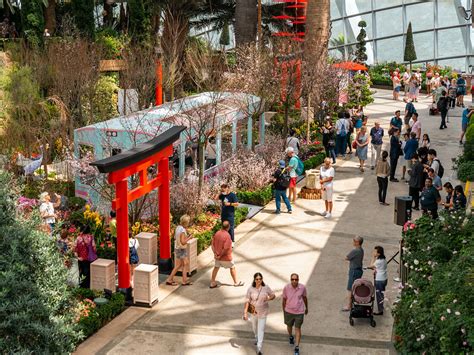Gardens by the Bay Sakura display returns with Ishikawa-inspired ... - balustradellc