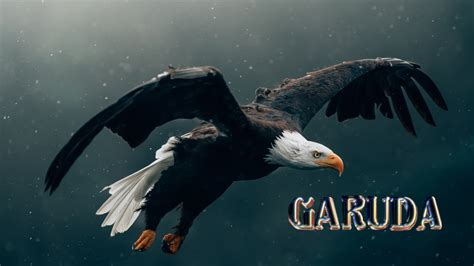 Garuda Linux celebrates its 5th anniversary - balustradellc