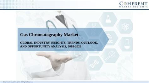 Gas Chromatography Market Growth Outlook and Strategic ... - wintechmobiles.com