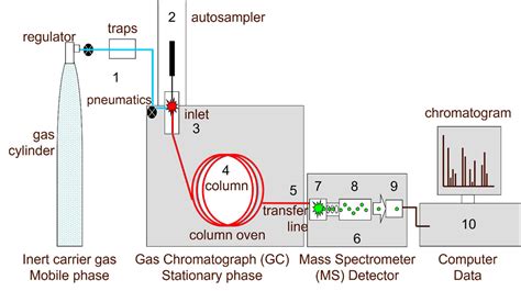 Gas chromatography mass spectrometry basic … - wintechmobiles.com