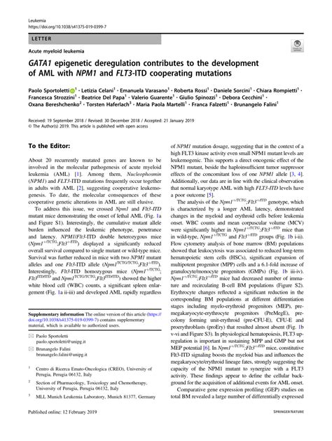 GATA1 epigenetic deregulation contributes to the development