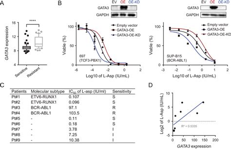 codini.rgarabwor.edu.pl. 