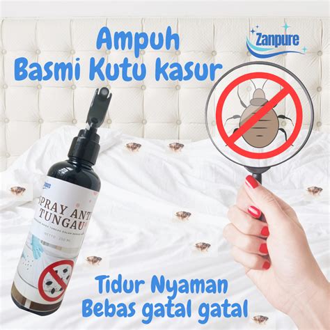 Gatal Kutu Kasur - balustradellc