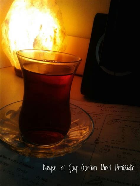 GAVSIM panosundaki Pin Pinterest.