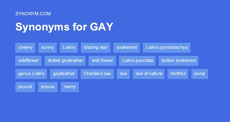 GAY Synonyms