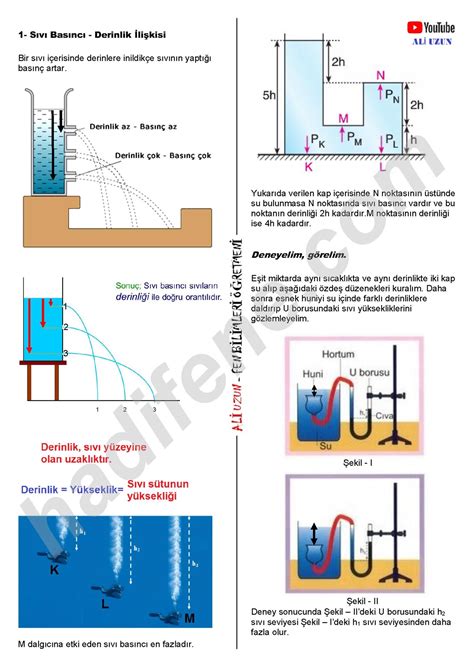 codini.rgarabwor.edu.pl. 