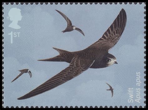 GB STAMPS 2024 MIGRATORY BIRDS SET OF 10 MNH MINT …