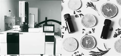 GCMS for perfumes - Chromatography Forum - wintechmobiles.com