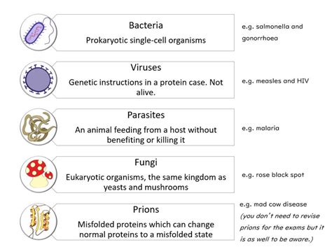 GCSE Biology - Health and Disease #33 - YouTube