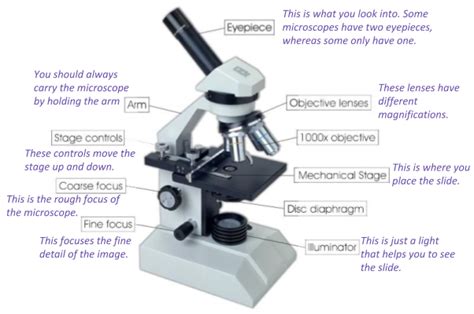 GCSE Biology Science) Edexcel Revision Study Rocket