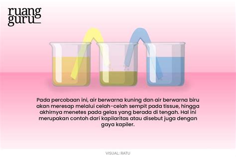 Gejala Kapilaritas | PDF | Sains & Matematika - Scribd - wintechmobiles.com