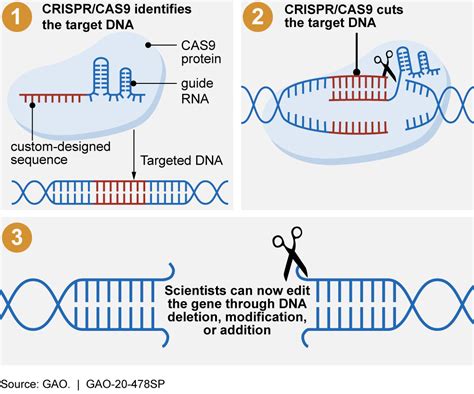 Gene Editing IPSCs With CRISPR/Cas9 - nanoschool.in - muktibox.com