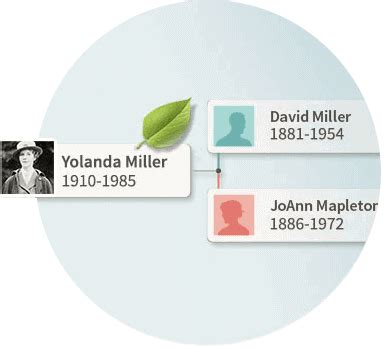 Genealogy: Find the story the led to you at Ancestry - balustradellc