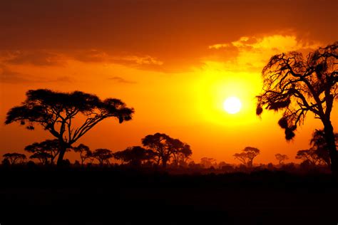 General Characteristics Of The Savanna Biome - raincitystudios.com