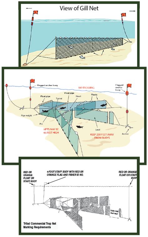 General Fishing Regulations - Texas Parks & Wildlife Department - balustradellc