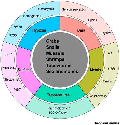Genetic adaptations of marine invertebrates to hydrothermal vent ... - raincitystudios.com
