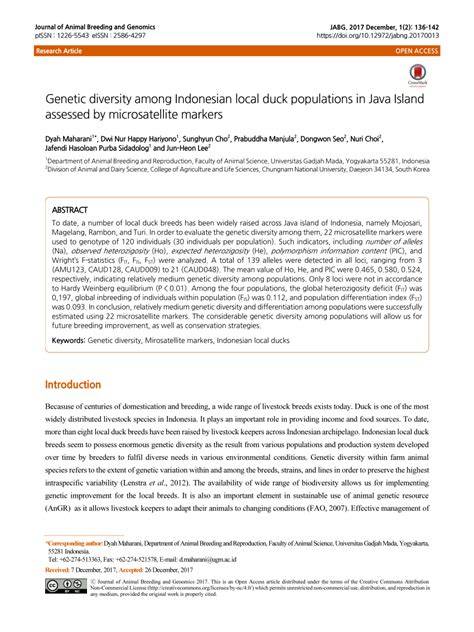 Genetic diversity among Indonesian local duck populations in Java ... - raincitystudios.com