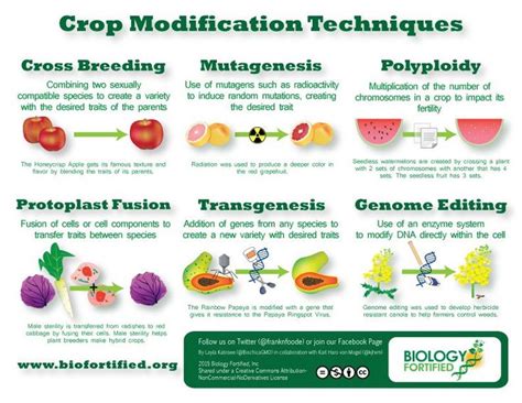 Genetic modification techniques in plant breeding: A ... - ScienceDirect - muktibox.com