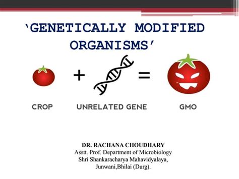 Genetically Modified Organism - IPB - muktibox.com
