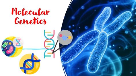 Genetics and Molecular Biology - Johns Hopkins University - muktibox.com