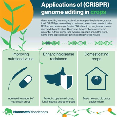 Genome editing technology and applications with the type I CRISPR ... - muktibox.com