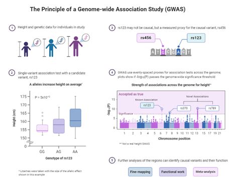 Genome-wide association studies - Nature Reviews Methods Primers - muktibox.com