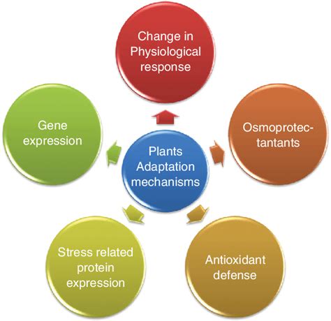 Genomics and Stress Adaptation Mechanisms in Plants - MDPI - muktibox.com