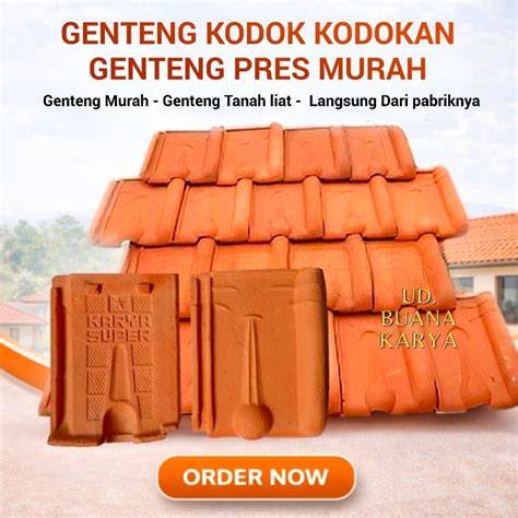 Genteng Pilihan Terlengkap & Produk Terbaru - raincitystudios.com