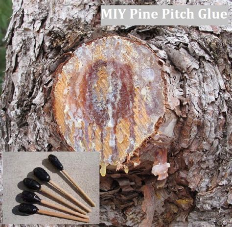 Genuinely amazed at how strong this pine pitch glue is! How do I make ... - balustradellc