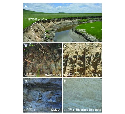 Geochemistry of a paleo-oxbow lake sediments and its ... - Frontiers - wintechmobiles.com