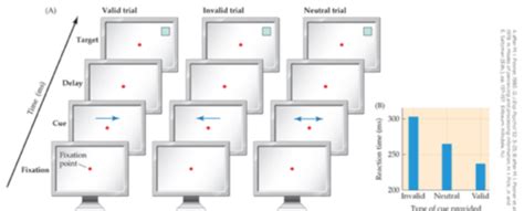 Geog Ch. 14 Flashcards | Quizlet - wintechmobiles.com