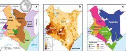 Geographical and linguistic structure in the people of Kenya ... - wintechmobiles.com