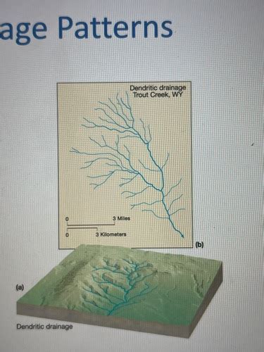 Geography Exam 2 Part 1 Flashcards | Quizlet - wintechmobiles.com