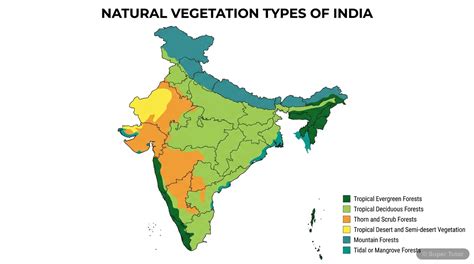 Geography India natural vegetation class 8 icse Flashcards - raincitystudios.com
