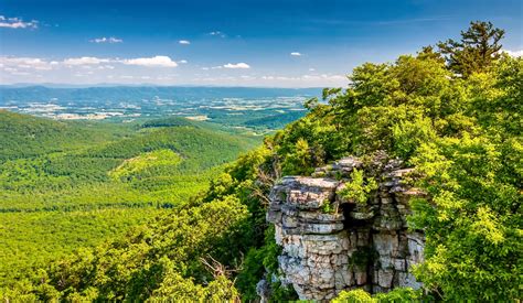George Washington National Forest - Warm Springs Ranger District - raincitystudios.com
