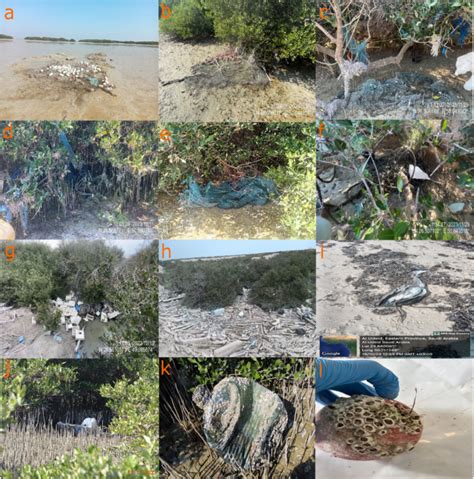 Geospatial distribution and anthropogenic litter impact on coastal ... - wintechmobiles.com