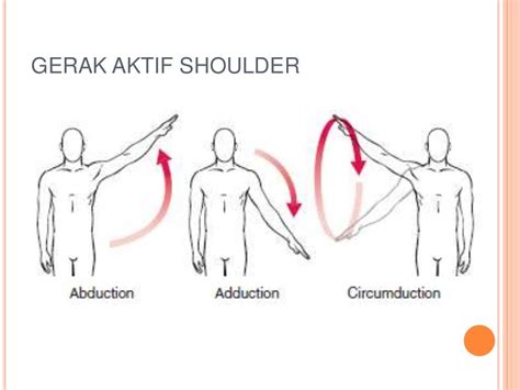 Gerakan Bahu - balustradellc